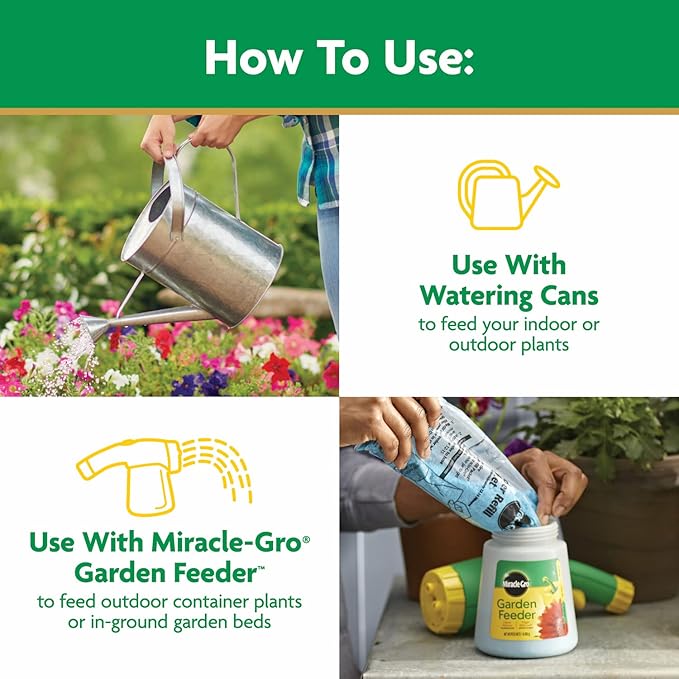 Miracle-Gro Water Soluble All Purpose Plant Food - Fertilizer For All Indoor or Outdoor Plants including Roses, Flowers, Vegetables, Houseplants, Trees, and Shrubs, 5.5 lbs.