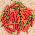 Burpee Tabasco Hot Pepper Seeds 30 seeds