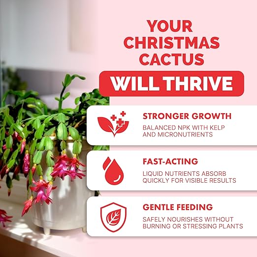Christmas Cactus Fertilizer – Liquid Plant Food for More Blooms, Brighter Flower Color & Stronger Root Development, 32 oz