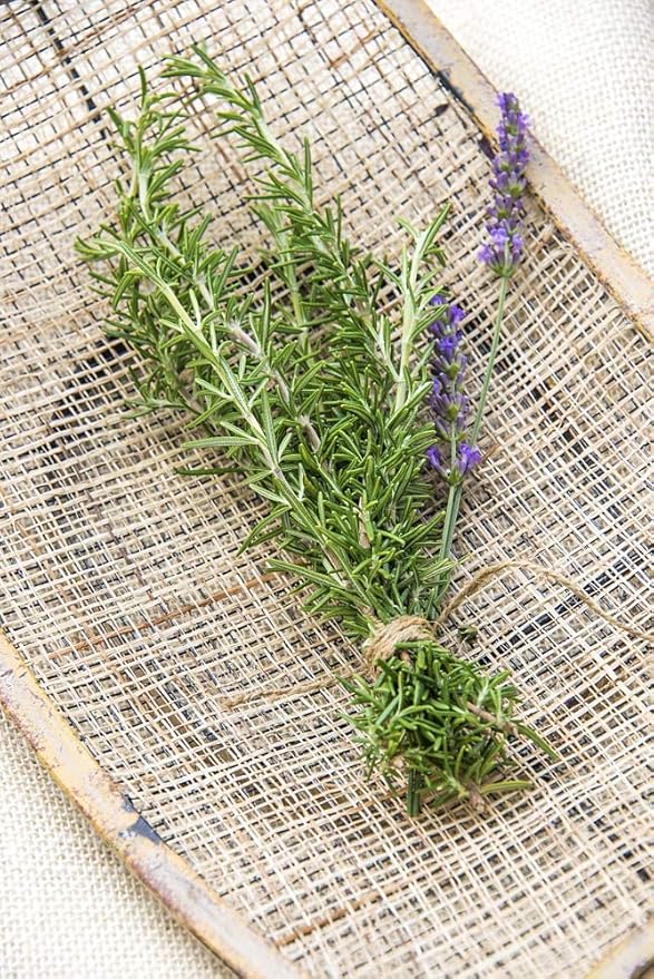 Herb Rosemary Pkt - Approx. 100 seeds
