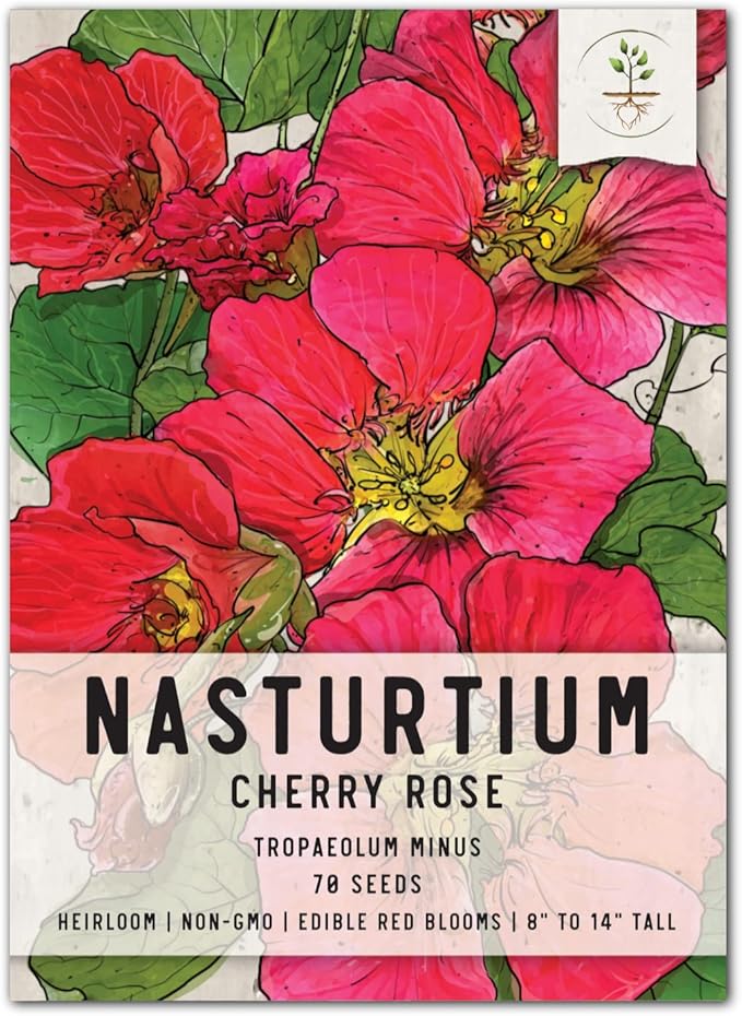 Seed Needs Cherry Rose Nasturtium Seeds for Planting - Heirloom, Untreated & Open Pollinated - Edible Red-Pink Colored Flowers to Plant a Butterfly Garden (Small Pack)