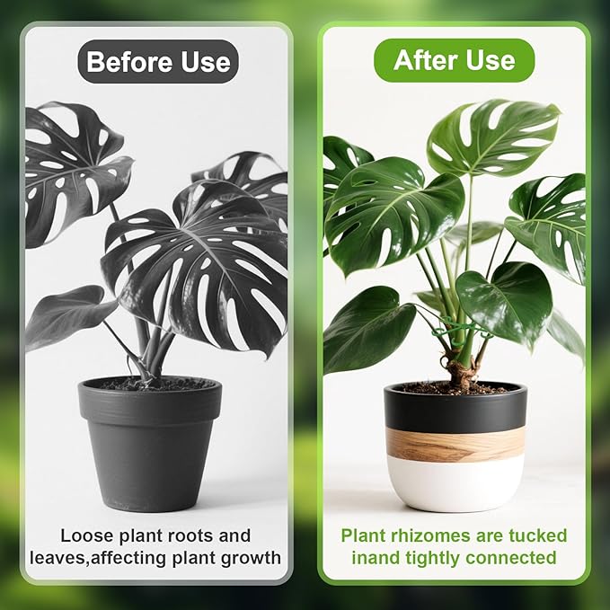 Augshy 20 Pcs Plant Stem Support Reusable Plant Growth Accessories,4 Sizes Climbing Houseplant Stem Holders for Flower Plants Indoor Outdoor Promote Prosperous Growth