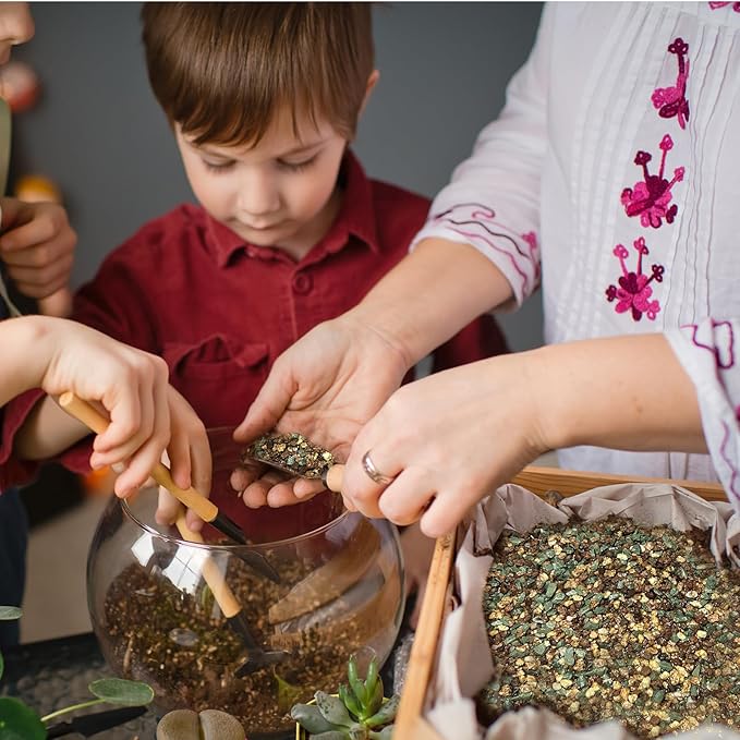 Terrarium Potting Soil Mix 2qt, Custom Made for Terrariums, Perfect for Vibrant Miniature Gardens