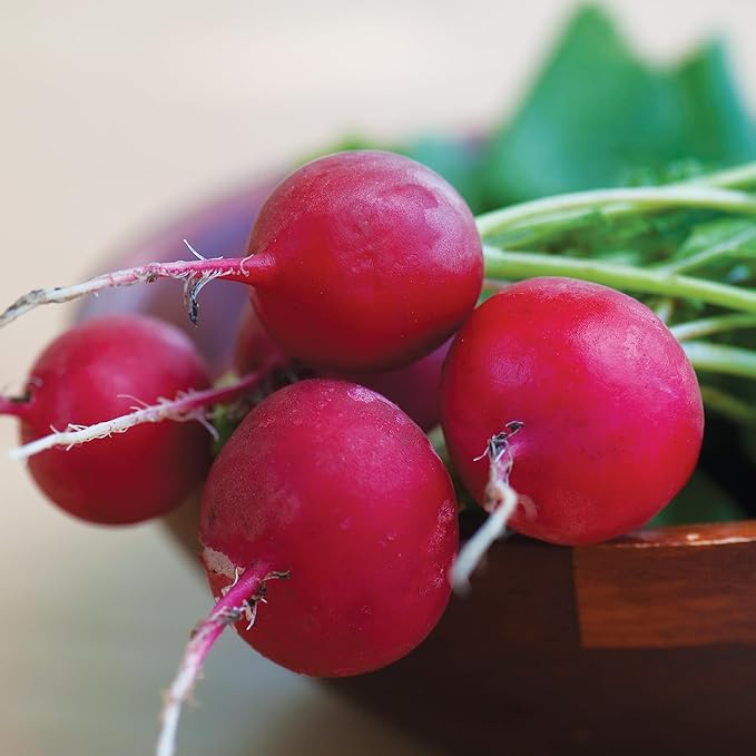 Burpee Crimson Giant Radish Seeds - Large, Mild-Flavored Roots