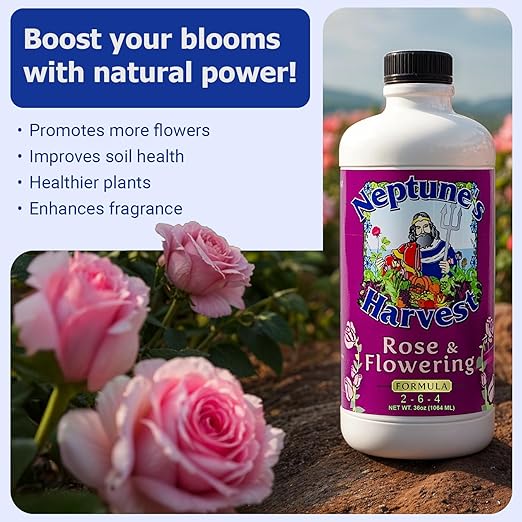 Neptune's Harvest Organic Plant Fertilizer | Liquid Fertilizer for Lawn, Garden & Houseplant | Rich in Essential Nutrients | Rose & Flowering 2-4-2 (Quart) + Fish & Seaweed Plant Food 2-6-4 (Quart)