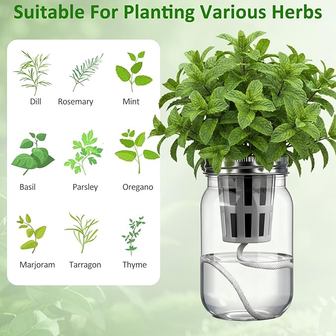 12 Set Hydroponic Herb Garden Planter Indoor Kit, Include 12 Self Watering Mason Jars 12 Planting Baskets 12 Pre Sown Growth Plugs and 12 Absorbent Cores Herb Growing Kit for Gardening