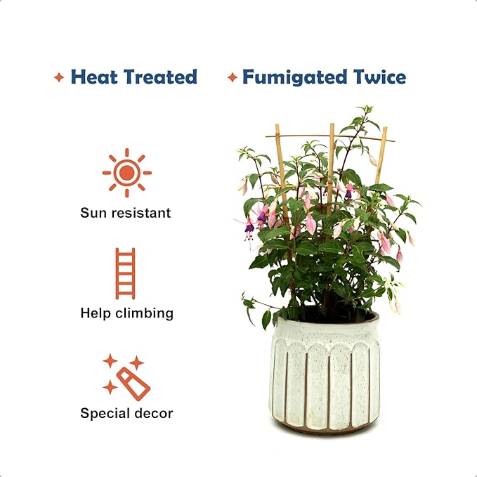 3Pack Bamboo Trellis 16 Inch Fan Shaped Small Plant Trellis for Indoor Potted Plants Climbing Monstera Orchid Vine Hoya Houseplant