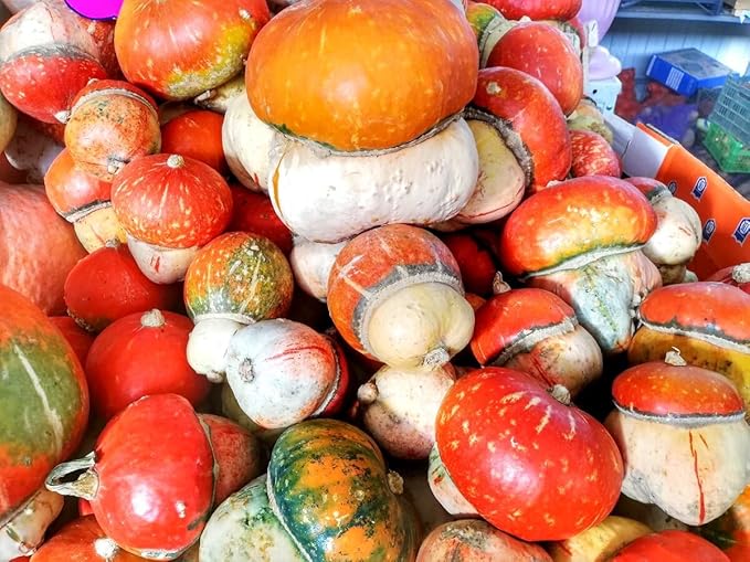 Seeds Ornamental Pumpkin Turk's Turban 10+ Seeds for Growing Decorative and Edible Non-GMO Annual Plant