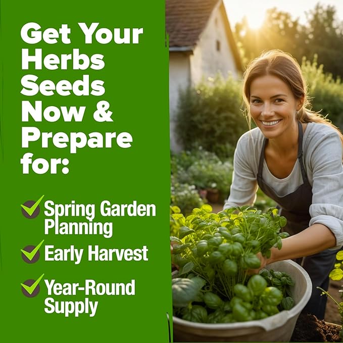 HOME GROWN 6 Herb Seeds for Planting 2,650+ Non-GMO Heirloom Seeds | Extra Large Variety Pack Herb Kit – Indoor Outdoor & Hydroponic | Culinary Seed Set | Grow Your Own Herbs | Gift for Beginners