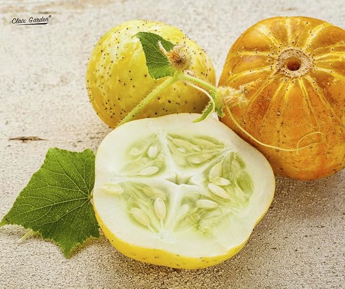 Lemon Cucumber Seeds - 100 Heirloom, Non-GMO Seeds, Excellent for Any Home Garden, Simple to Grow, Delicious Flavor, Quick Grow Cycle