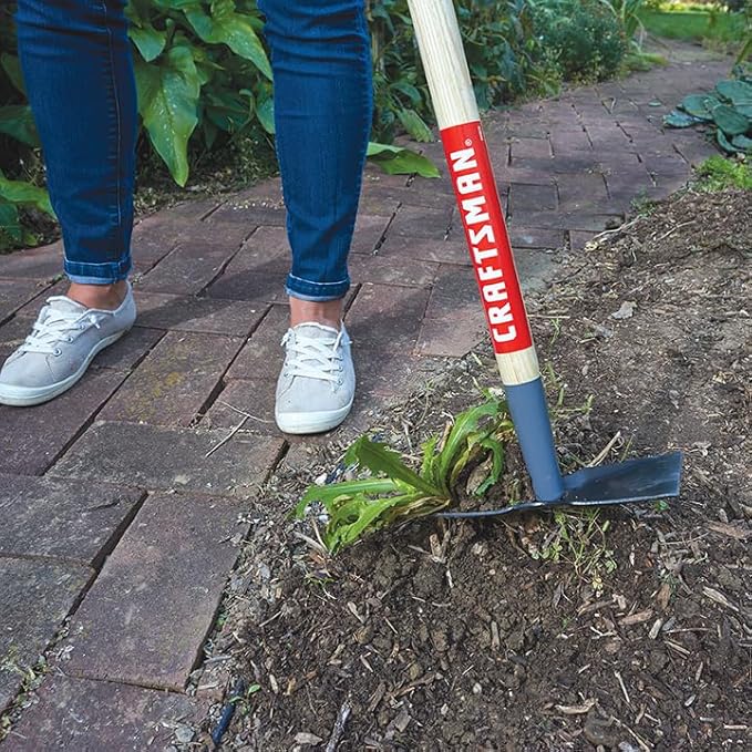 Craftsman Wood-Handled 2-Prong Hoe for Weeding, Cultivating, and Chopping