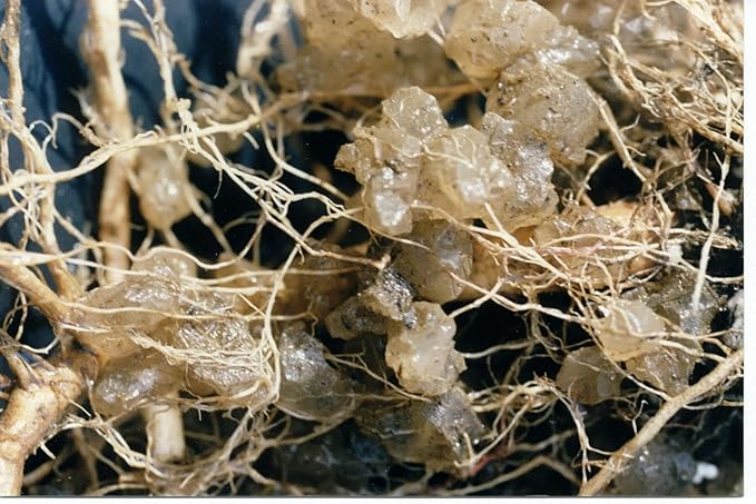 Soil Moist Flower & Garden Plus Mycorrhizal Soil Additive