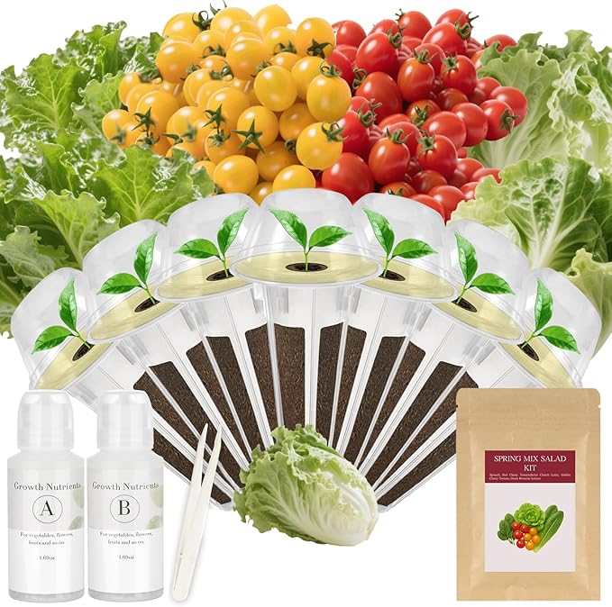 Spring Mix Salad Seed Pod Kit for AeroGarden, idoo, Ahopegarden, MUFGA with Red Cherry Tomato, Golden Cherry Tomato, Buttercrunch Lettuce, and Green Romaine Lettuce - Compatible with All Garden(7-Pod)