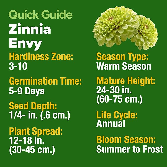 HOME GROWN Envy Zinnia Seeds (1g) – 4300 Rare Lime Green Annual Zinnia Flower Seeds for Planting, Fast-Growing Bulk Variety, Premium Herb Seeds Garden Companion for 2026 Blooms (Zinnia elegans)