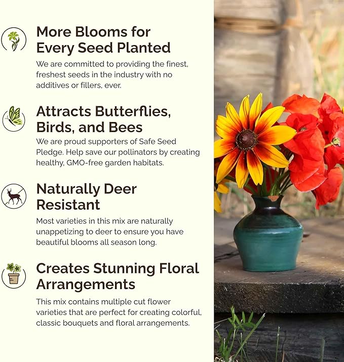 Eden Brothers New Jersey Wildflower Mixed Seeds for Planting, 1/4 lb, 120,000+ Seeds with Cornflower, Coneflower | Attracts Pollinators, Plant in Spring or Fall, Zones