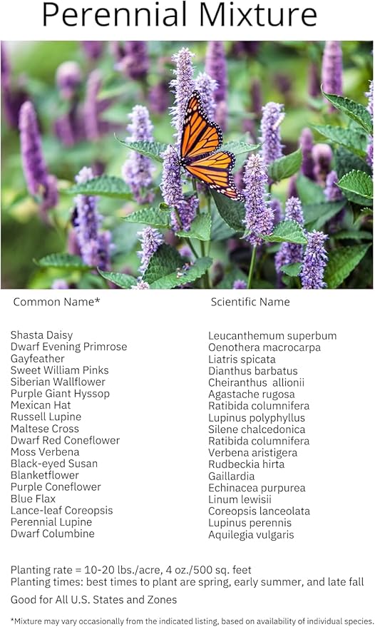 United States Nationwide Bulk Perennial Wildflower Seed Mix - All U.S. Zones - Plant in Spring and Fall (1 Pound Covers 2,000 Square feet) (1/8 Pound (2 Ounces))