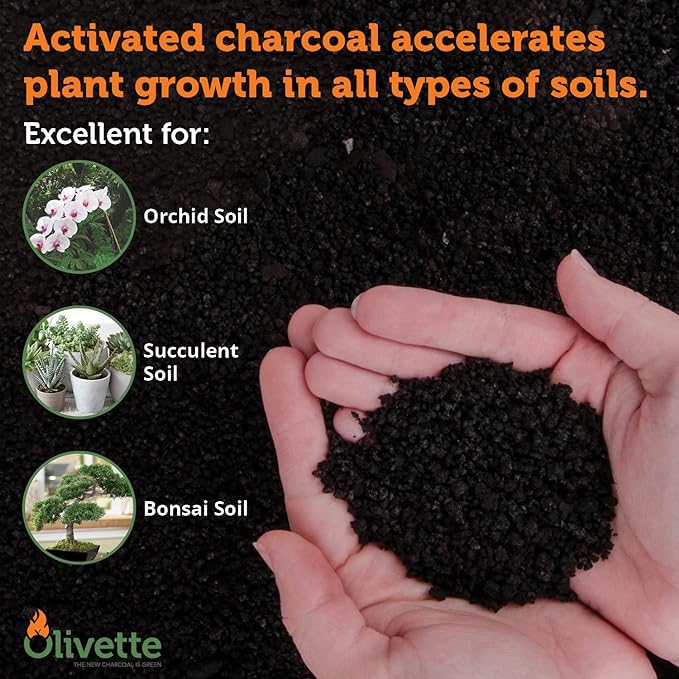 Olivette Horticultural Biochar Activated Charcoal for Plants, USDA Organic Moisture Control for Terrarium Trees & Potted Plants, Eco-Conscious, 1 Bag