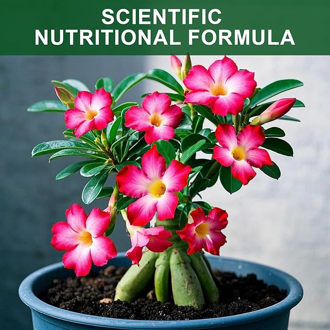 Organic Desert Rose Potting Soil Mix for Healthy Growth 10qt- 100% Natural Potting Mix - Specially Formulated Nutrient-Rich Plant Soil for Desert Rose Plant