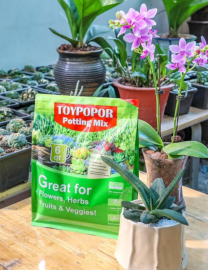 TOYPOPOR Perlite for Plants, (10qt) 3-6mm Organic Perlite for Gardening, Perlite for Plants Indoor, Soil Additive Conditioner Mix Improve Drainage and Ventilation Promote Root Growth and Soil Health