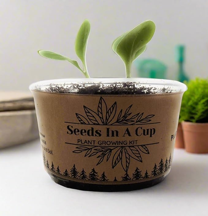 Seeds In A Cup - Plant Growing Kit-: Vegetable and Herb Growing Kit (Gourd)