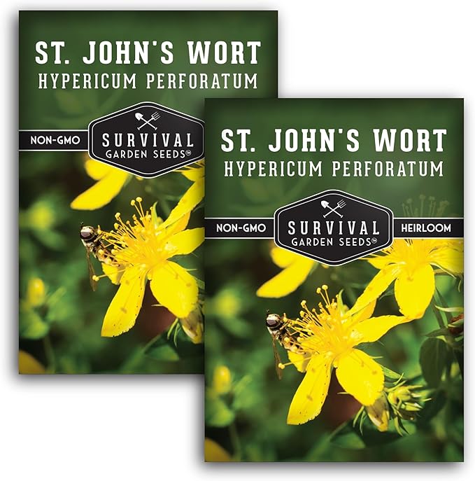 St. John's Wort Seeds for Planting - 2 Packets with Instructions to Plant & Grow Beneficial Perennial Herbs in Your Home Herb Garden - Non-GMO Heirloom Variety - Survival Garden Seeds