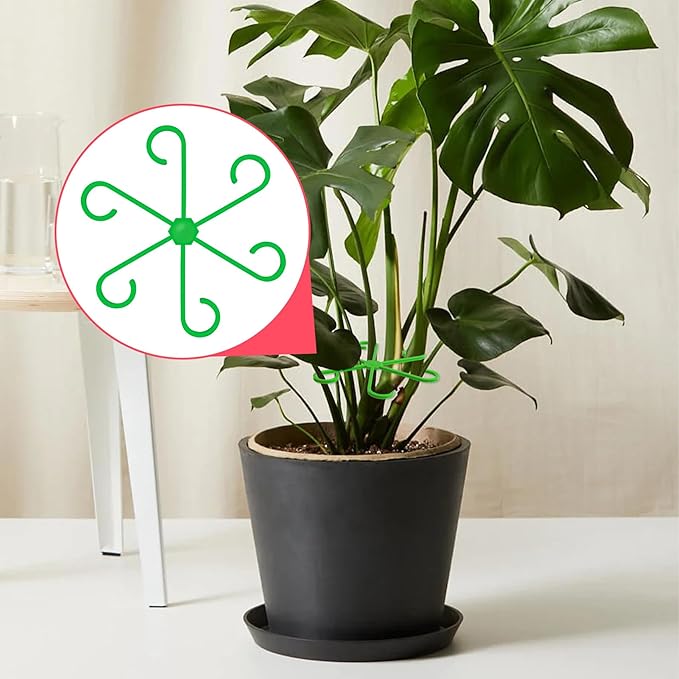 PAGOW 8 Pcs Climbing Houseplant Stem Supports, Plastic Flower Plant Growth Stakes Trellis, Reusable Plant Stem Holders, Stem Hook Growth Accessories for Plant Garden (4 Sizes)