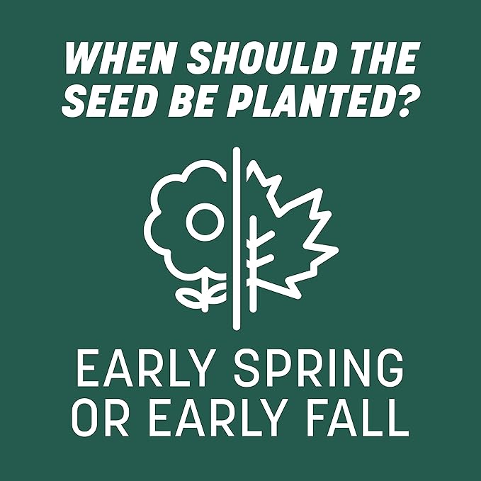 Pennington Smart Seed Sun and Shade Grass Mix 7 lb