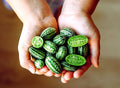Vegetable Garden Seeds for Planting - Grow Heirloom Vegetables (Mouse Melon)