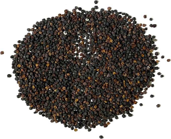 Seed Needs White Baby's Breath Seeds for Planting - Heirloom & Open Pollinated Annual Flowers - Perfect for a Butterfly Garden, Bouquets & Floral Arrangements (2 Packs)