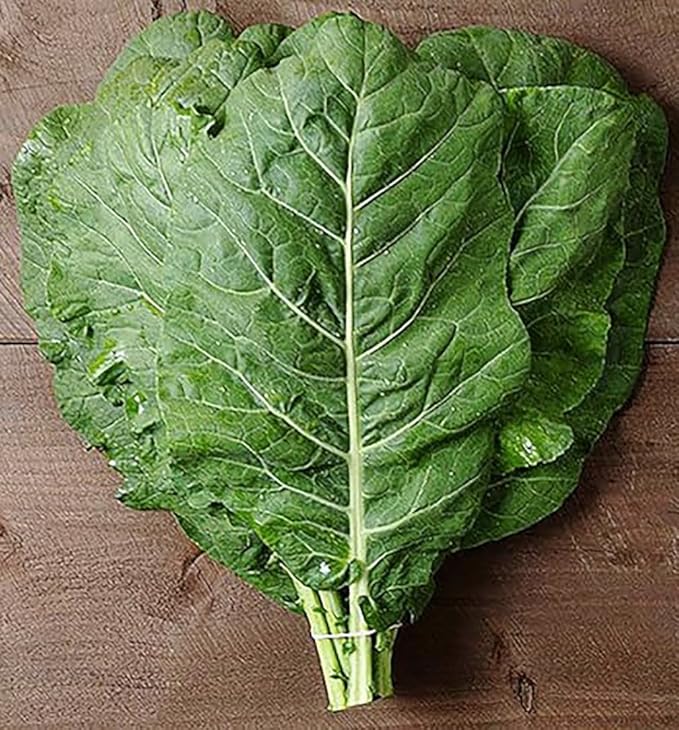 Morris Heading Collard Seeds - Blue-Green Cabbage-Like Delicious Leaves