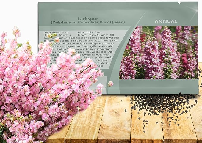 Outsidepride Delphinium Pink Larkspur Seeds for Planting Outdoors - 1000 Pcs Annual, Self-Seeding, Heat & Drought Tolerant Wildflower Seeds, Colorful Blooms for Flower Arrangement & Pollinator Garden
