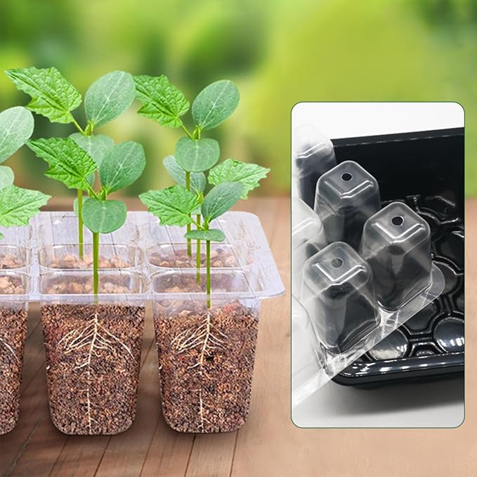 Starter Kit Tray with Grow Light, Adjustable Humidity Drainage, 6Pack Germination with Transparent Domes for Vegetables, Succulent Plant seedlings,Starting Greenhouse[Energy Efficiency Class A+++]