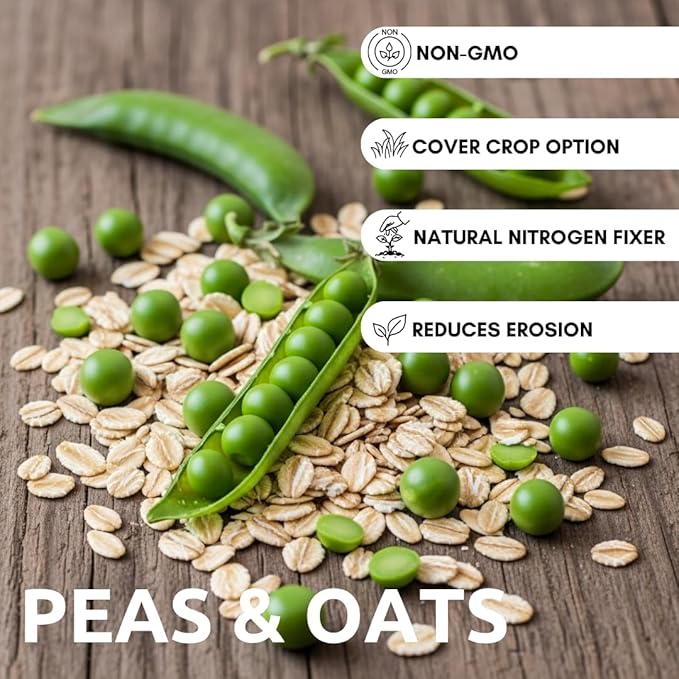 Pea and Oat Cover Crop Seeds – Non-GMO, Annual, Nitrogen-Fixing Mix – Builds Soil Health, Forage-Friendly, Winter-Kill Variety – Ideal for Spring -Fall Planting – 50–70 Days to Maturity (1 Pound)