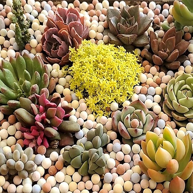 2LBS Natural Organic Colorful Leca Balls for Plants, 5mm-8mm Ceramsite Clay Pebbles Indoor Potting Garden Soil for Orchid, Succulents, Hydroponics, Decoration, Drainage, Top-Dressing Rocks