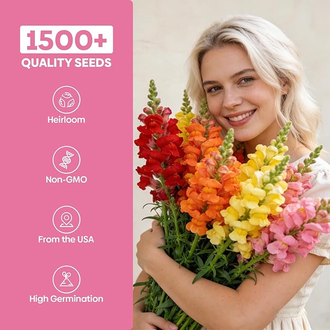 1500+ Tetra Mix Snapdragon Seeds for USDA 1-12 Planting, 18-24’’ Tall Snap Dragon Mix, Annual Flower Garden Seeds, Ideal for Garden, Containers