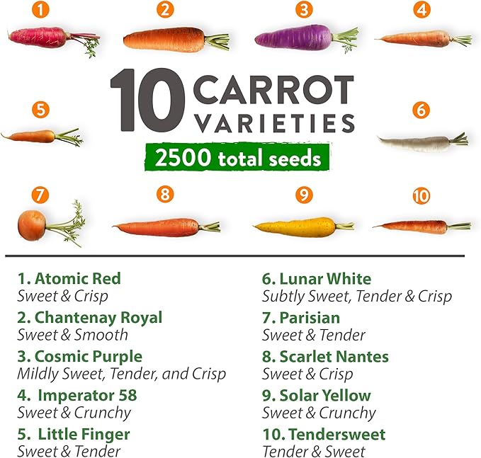 HOME GROWN Rainbow Carrot Seeds 2500+ Heirloom Seeds (10 Varieties) – High Germination, Vegetable Seeds for Planting Indoors or Outdoor Home Garden