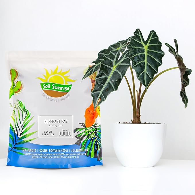 Soil Sunrise Elephant Ear Potting Soil Mix (8 Quarts) Colocasia and Alocasia Potted Plant Blend