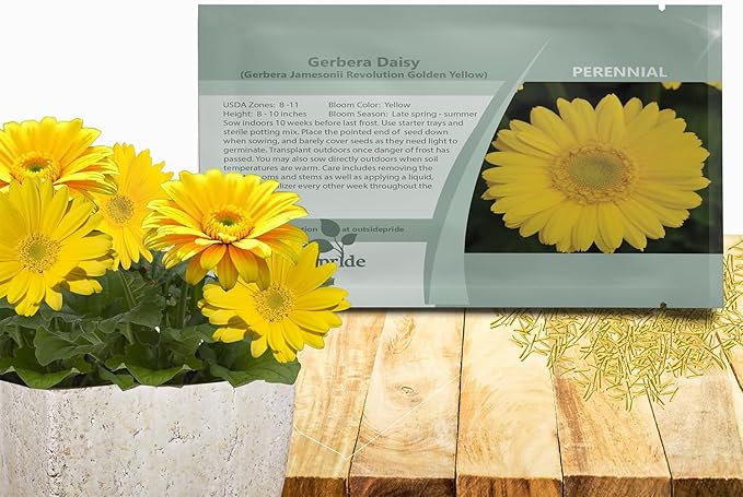 Outsidepride Golden Yellow Gerbera Seeds - 20 Pcs Perennial, Compact & Low Maintenance, Flower Seeds for Planting w/Dazzling Yellow Blooms, Ideal for Garden Landscaping & Cut Flower Arrangements
