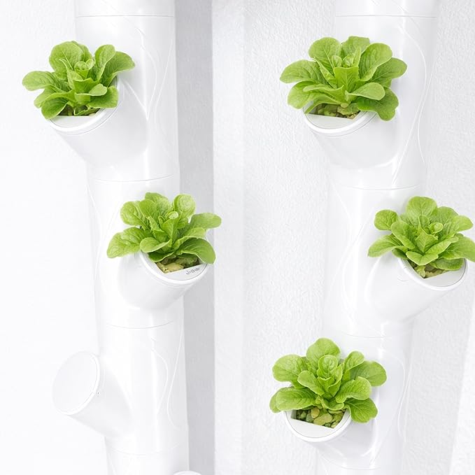 EBaokuup 24 Pcs Grow Cubes for Hydroponic System, Grow Cube Hydroponic Cups Compatible with yCube, Reusable Hydroponic System Grow Cube for Indoor Graden Supplies