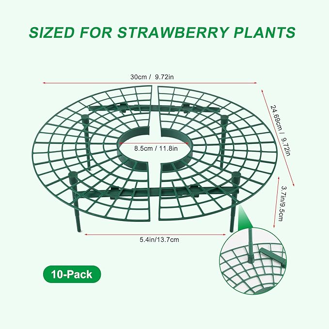 Strawberry Plant Support, 10 Pack, Raised Grid Stand to Keep Strawberries Off the Ground, Strawberry Holder for Garden Beds, Raised Planters & Pots (Round)