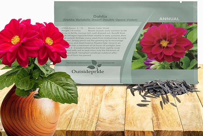 Outsidepride Opera Violet Dahlia Seeds for Planting - 400 Pcs Annual, Easy to Grow, Season-Long Flower Seeds with Colorful Blooms for Containers, Pots, Borders, & Gardens, Suitable as Cut Flower