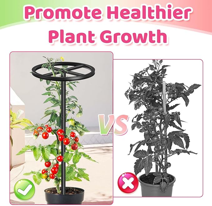 Metal Dragon Fruit Trellis, Adjustable Durable Dragon Fruit Plant Trellis Vertical Indoor Support Frame for Climbing Plants Trees Cactus Garden Outdoor Potted Support, 2 Pcs