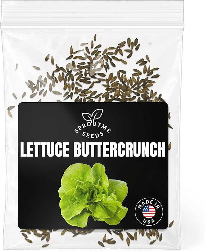 Fall & Winter Lettuce Buttercrunch Seeds for Indoor & Outdoor Planting – 500+ Non-GMO Heirloom Sweet Crisp Lettuce, High Germination (Lactuca Sativa)