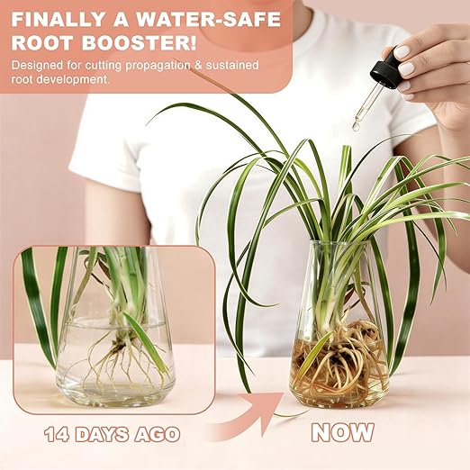 Root Drops - Liquid Rooting Hormone - Fast Growth for Cuttings | Less Shock in Water/Soil/LECA/Moss | Fits Pothos, Monstera, Philodendron & All Houseplants (4 oz) (1)