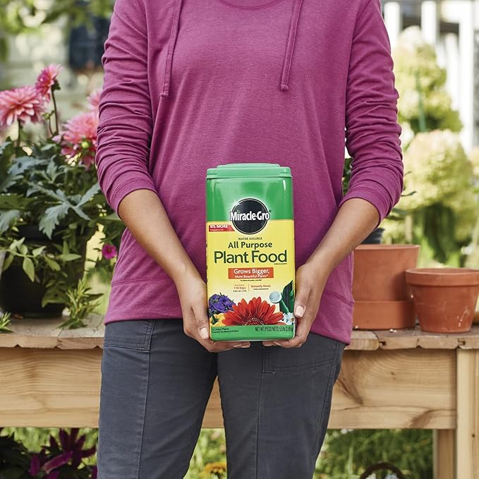 Miracle-Gro Water Soluble All Purpose Plant Food - Fertilizer For All Indoor or Outdoor Plants including Roses, Flowers, Vegetables, Houseplants, Trees, and Shrubs, 5.5 lbs.