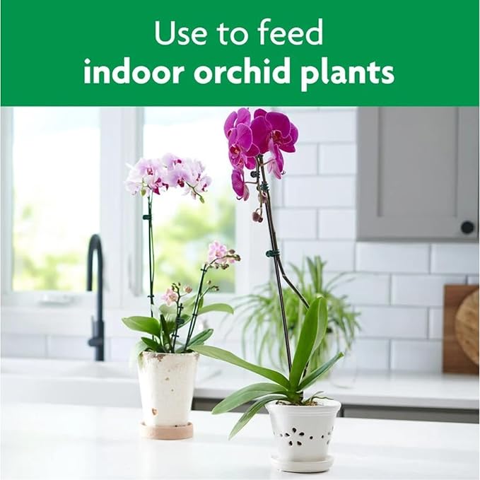Miracle-Gro Orchid Plant Food Mist 8 oz. (Pack of 6)