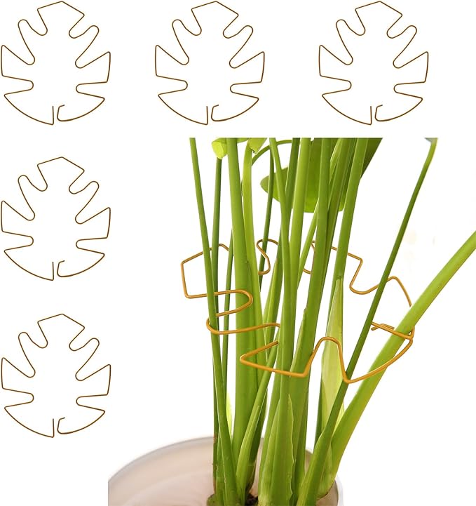 Spiritlele 5 Pcs Yellow Plant Stem Support Holder Set Monstera Plant Support Clamp Growth Accessories for Indoor Plants Big