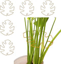 Spiritlele 5 Pcs Yellow Plant Stem Support Holder Set Monstera Plant Support Clamp Growth Accessories for Indoor Plants Big