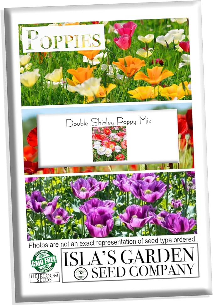 Double Shirley Mix Poppy Seeds for Planting, 3000+ Flower Seeds Per Packet, (Isla's Garden Seeds), Non GMO & Heirloom Seeds, Botanical Name: Papaver rhoeas, Great Poppies for a Gift
