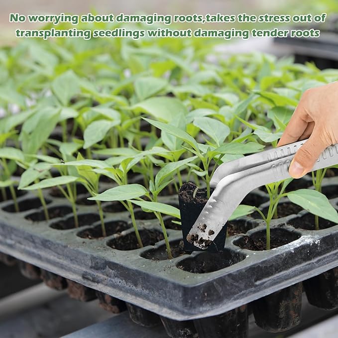 2PCS Seedling Transplant Tongs Stainless Steel Seedling Starters Remove Tongs Seedling Transplanting Tool Seedling Easy Transplanter with Anti-Slip Grasp Tips to Reduce Damage to Roots